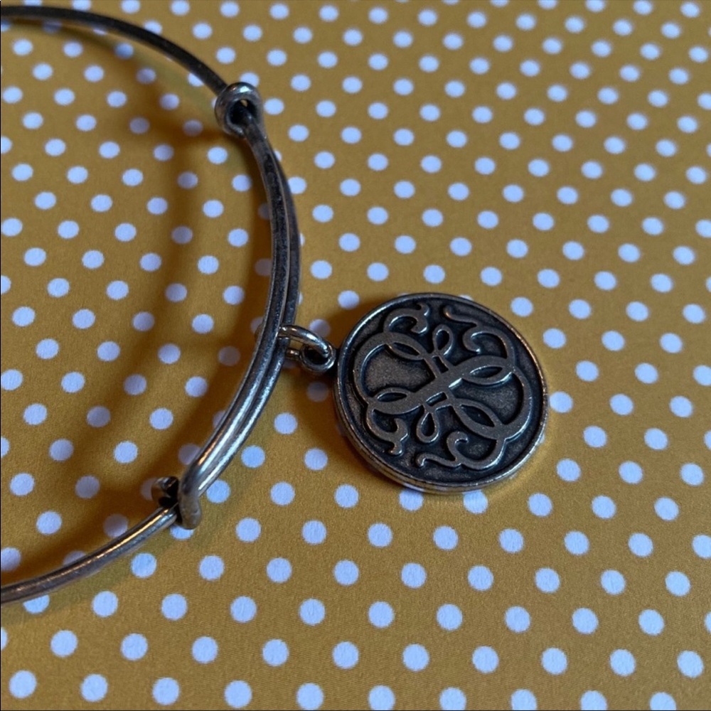 Alex and Ani Path of Life bangle in Raf. Silver - Picture 6 of 8